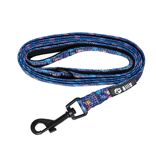 Cosmo leash