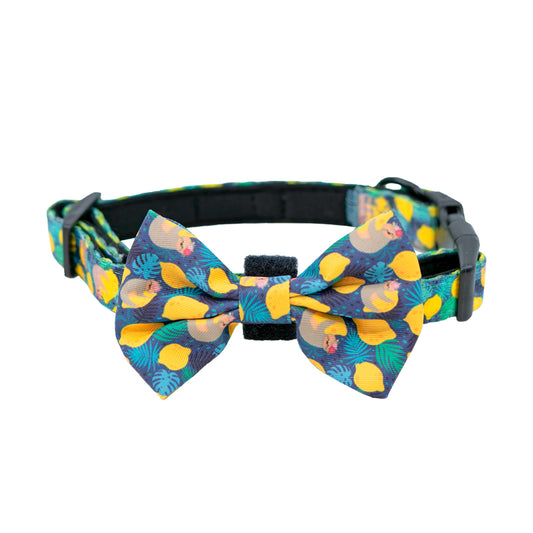 Lemon bowtie